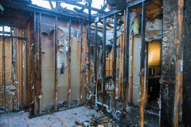 Professional Fire Damage Repair technician working in Saint Francis, MN