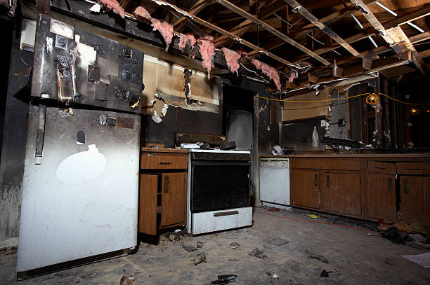 Licensed Fire Damage Repair service in Saint Francis, MN - Fire Damage Laser Cleaning